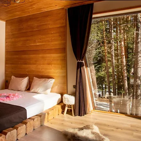 Forest Lux Boutique